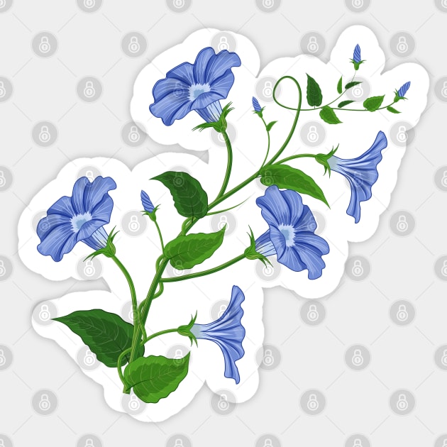 Morning Glory Flowers Sticker by Designoholic